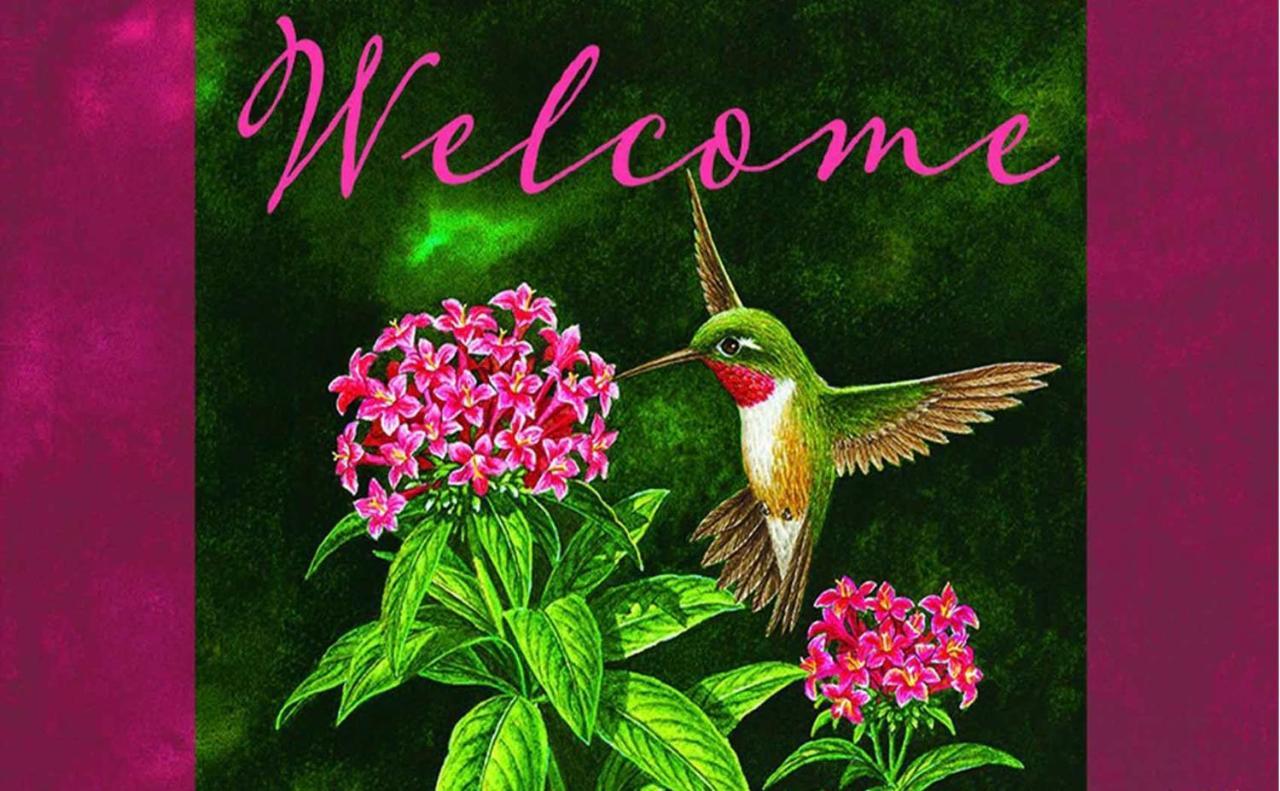 Hummingbird Retreat - Luxury Oceanview Apt, 7-Minute Walk To Beach Ocho Rios Eksteriør billede