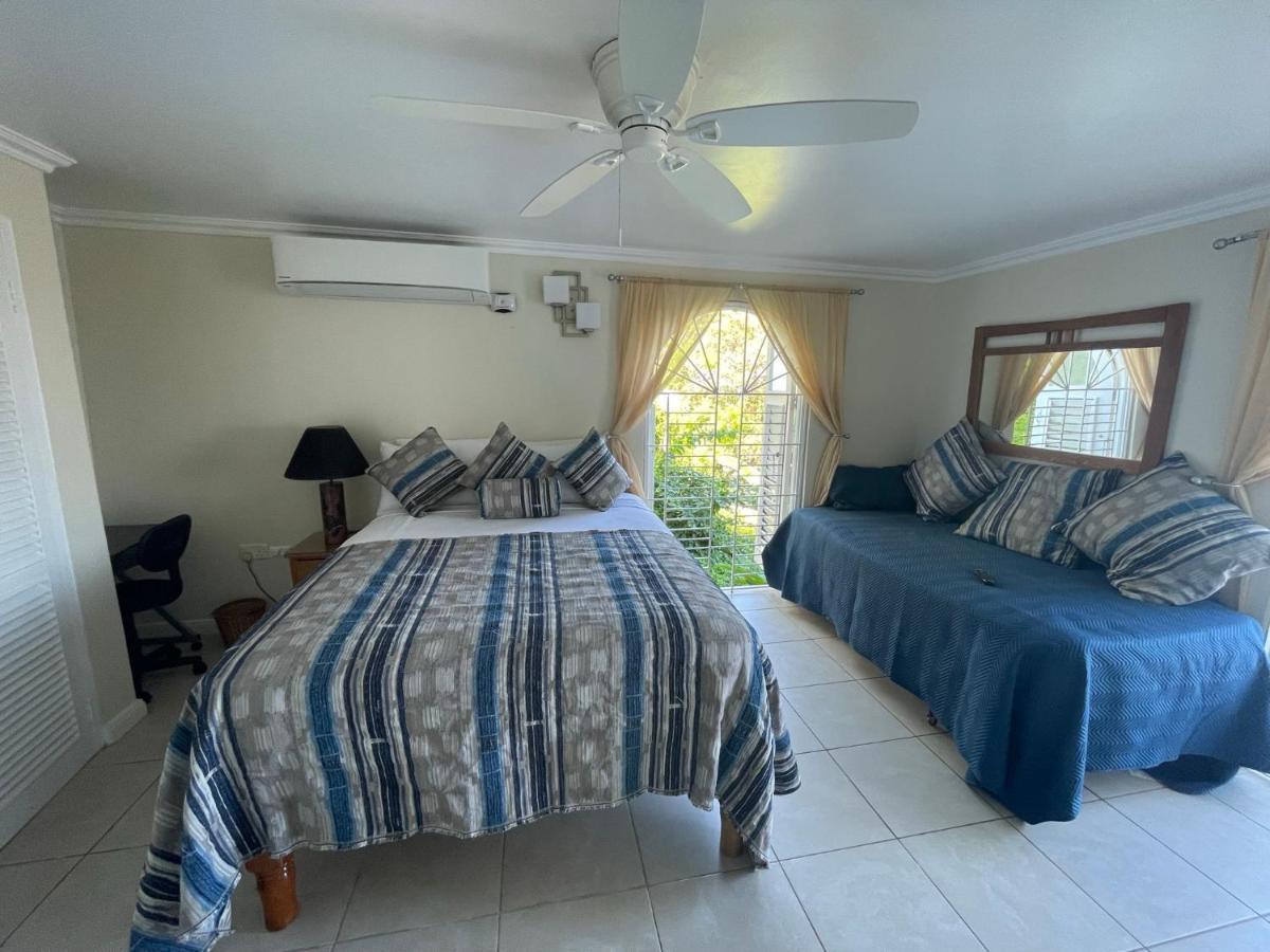 Hummingbird Retreat - Luxury Oceanview Apt, 7-Minute Walk To Beach Ocho Rios Eksteriør billede