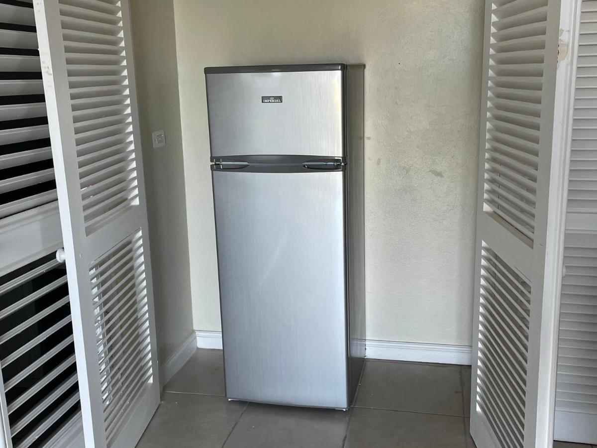 Hummingbird Retreat - Luxury Oceanview Apt, 7-Minute Walk To Beach Ocho Rios Eksteriør billede