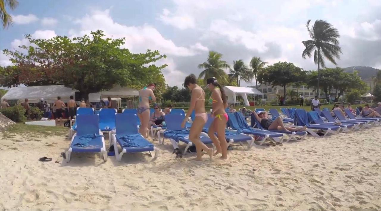 Hummingbird Retreat - Luxury Oceanview Apt, 7-Minute Walk To Beach Ocho Rios Eksteriør billede