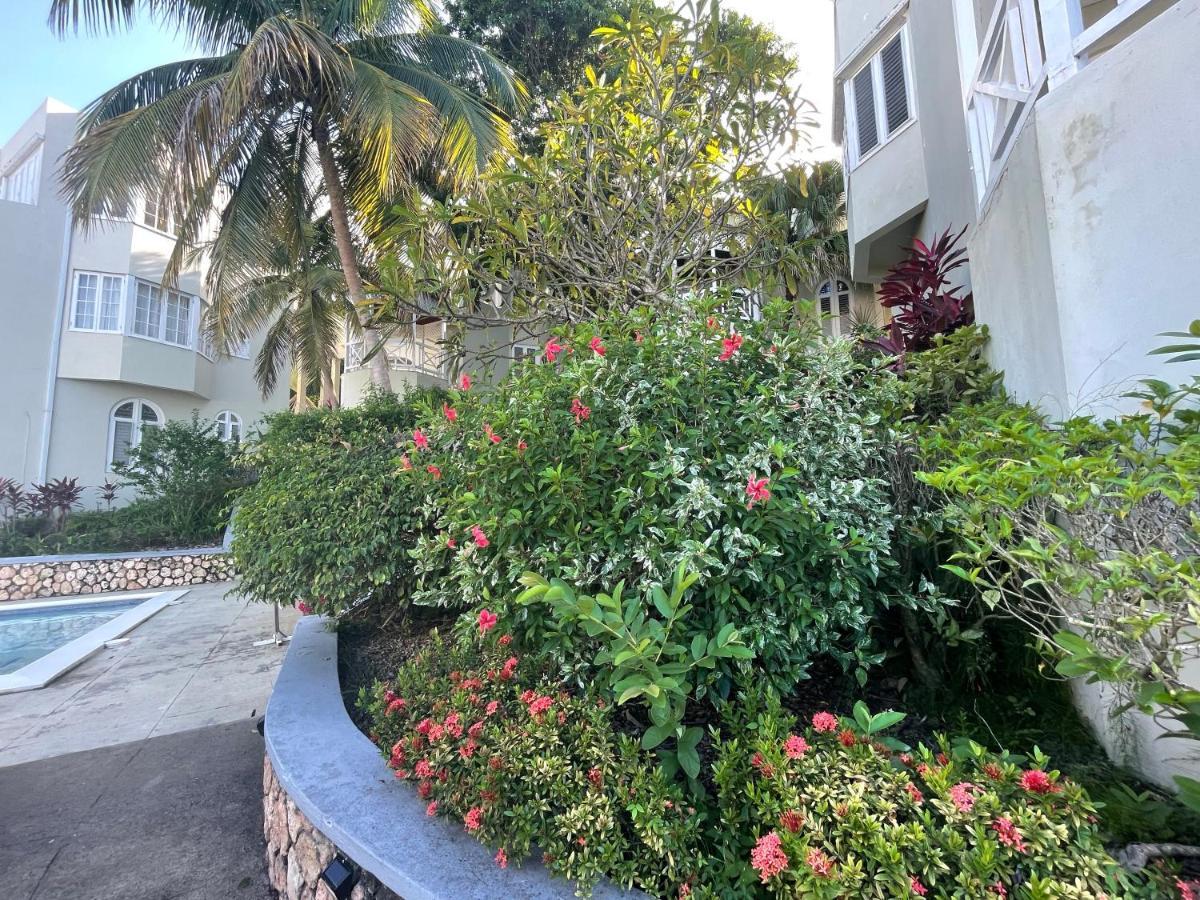 Hummingbird Retreat - Luxury Oceanview Apt, 7-Minute Walk To Beach Ocho Rios Eksteriør billede