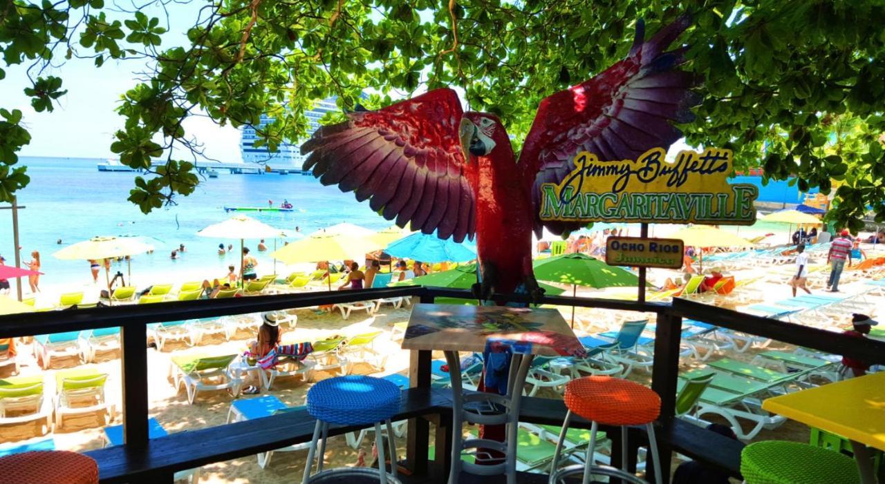 Hummingbird Retreat - Luxury Oceanview Apt, 7-Minute Walk To Beach Ocho Rios Eksteriør billede