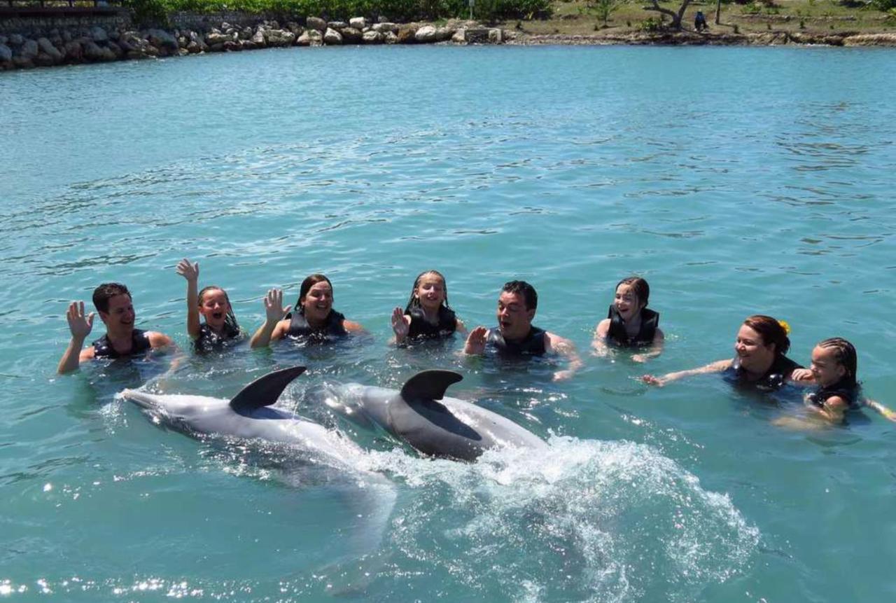 Hummingbird Retreat - Luxury Oceanview Apt, 7-Minute Walk To Beach Ocho Rios Eksteriør billede